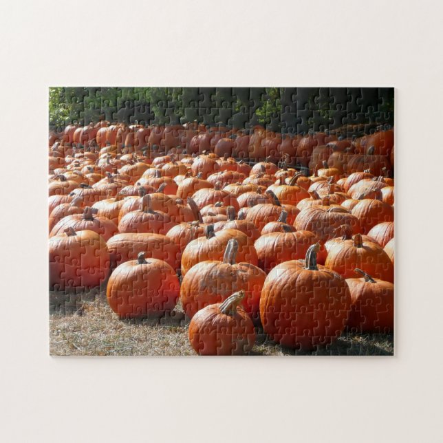 Puzzle Citrouille Patch Automne Harvest Photographie (Horizontal)