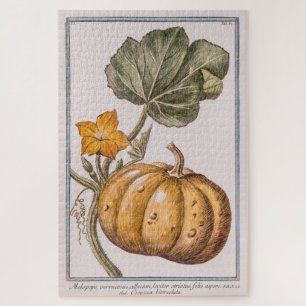 Puzzle Citrouille vintage par Giorgio Bonelli