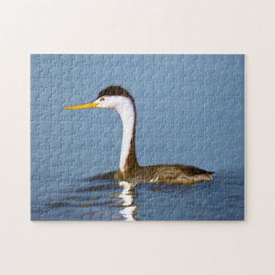 Puzzle Clark's Grebe Painting - Art original pour les ois