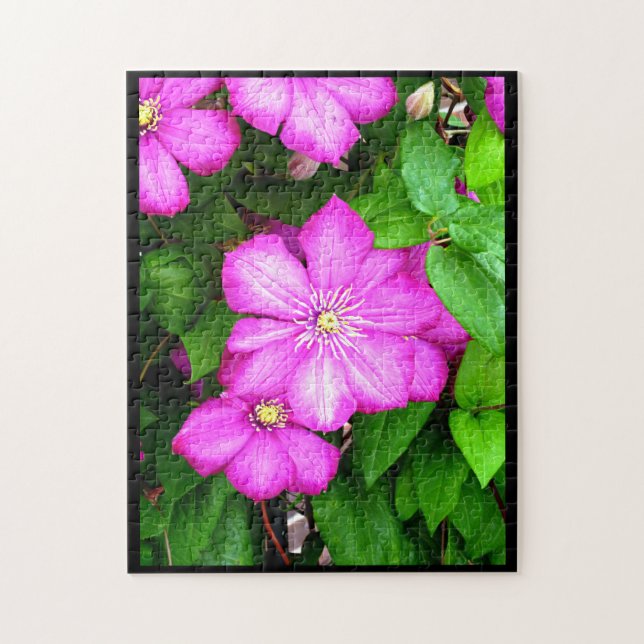 Puzzle Clematis (Vertical)