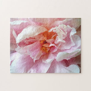 Puzzle Closeup des pivoines roses pâles