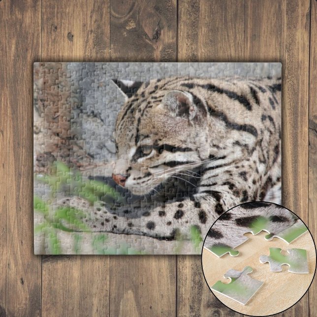 Puzzle Closeup d'ocelot (Quacking Mallard Duck Jigsaw Puzzle)