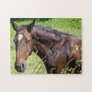 Puzzle Closeuse de Chestnut Horse