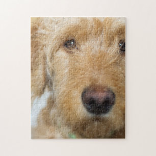 Puzzle Closeuse de coquelicot de Goldendoodle