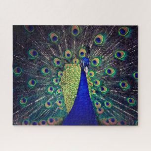 Puzzle Cobalt Blue Peacock