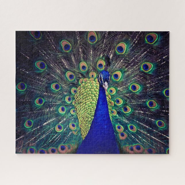 Puzzle Cobalt Blue Peacock (Horizontal)