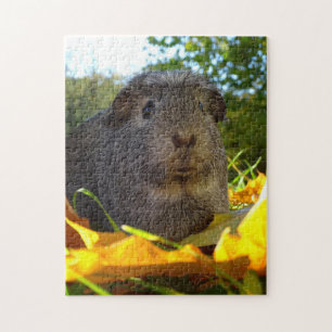 Puzzle Cobaye mignon en nature