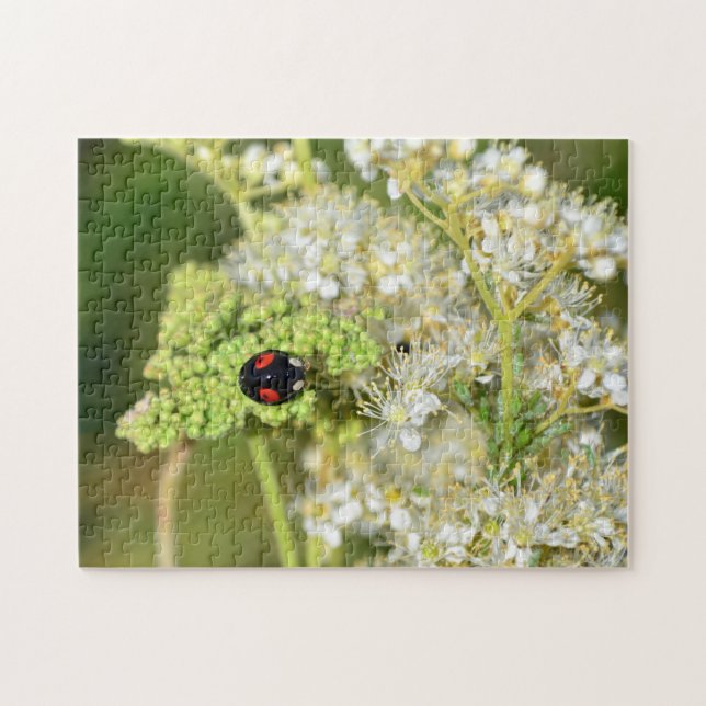 Puzzle Coccinelle noire (Horizontal)