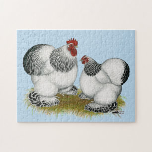 Puzzle Cochin Columbian Bantams