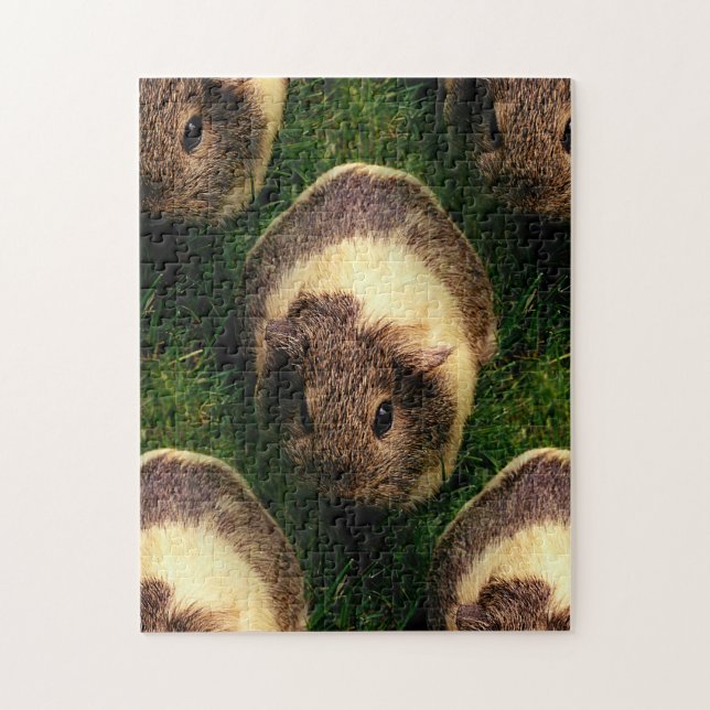 Puzzle Cochon de Guinée d'Agouti dans l'herbe (Vertical)