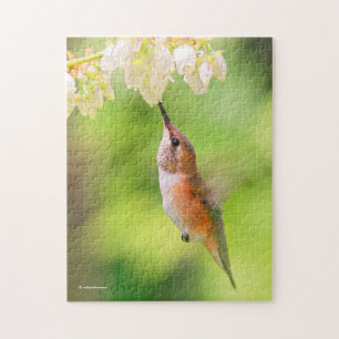 Puzzle Cochons roux de colibri Nectar de fleur de bleuets