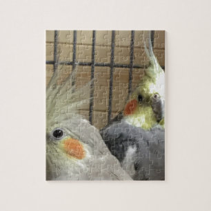 Puzzle Cockatiels