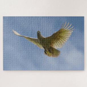 Puzzle Cockatoo Bird Parrot Animal Fly Sky, 1014 pièces