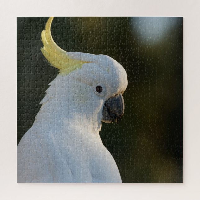 Puzzle Cockatoo blanc exotique (Vertical)