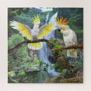 PUZZLE COCKATOO COURTSHIP