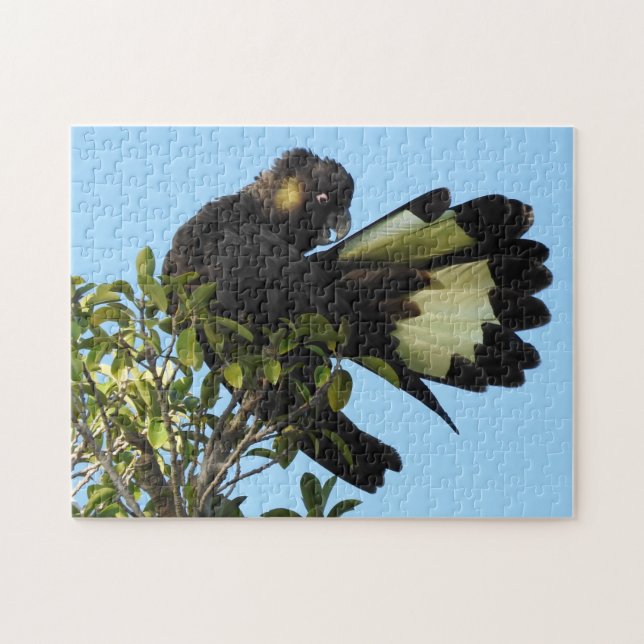 Puzzle Cockatoo noir à queue jaune (Horizontal)