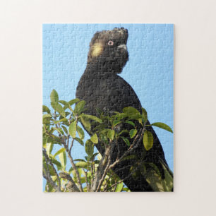 Puzzle Cockatoo noir à queue jaune