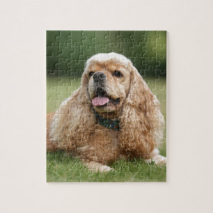 Puzzle Cocker mignon
