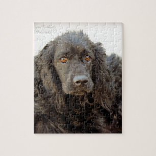 Puzzle Cocker noir "Harley "