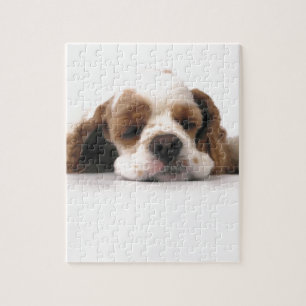 Puzzle Cocker rouge/blanc de sommeil