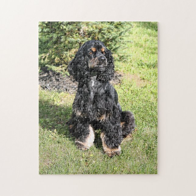 Puzzle Cocker Spaniel Photo 2 (Vertical)