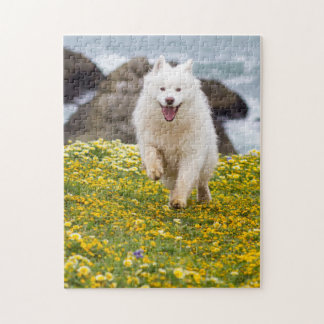 Puzzle Coco - Fleurs