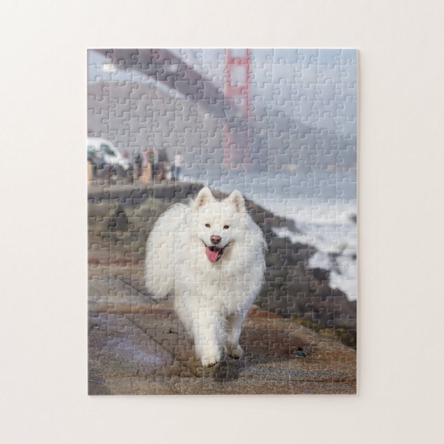 Puzzle Coconut - Golden Gate Bridge (Vertical)