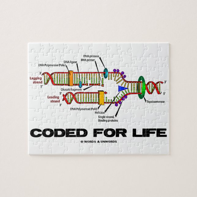 Puzzle Codé pour la biologie moléculaire de reproduction (Horizontal)