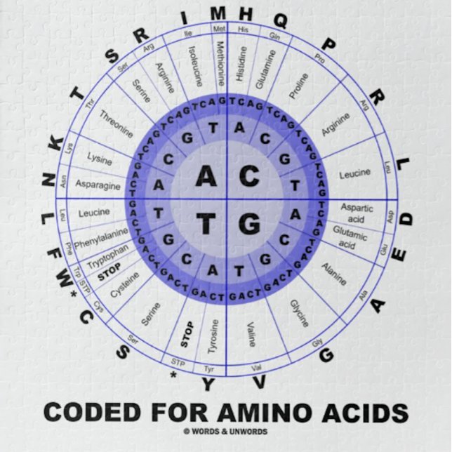 Puzzle Codé pour les acides aminés (ADN de code (Jigsaw puzzle featuring codon wheel for anyone who is "Coded For Amino Acids" & that means everyone!)
