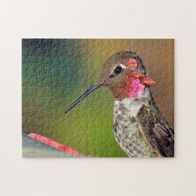 Puzzle Colibri (Horizontal)