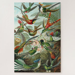 Puzzle Colibri