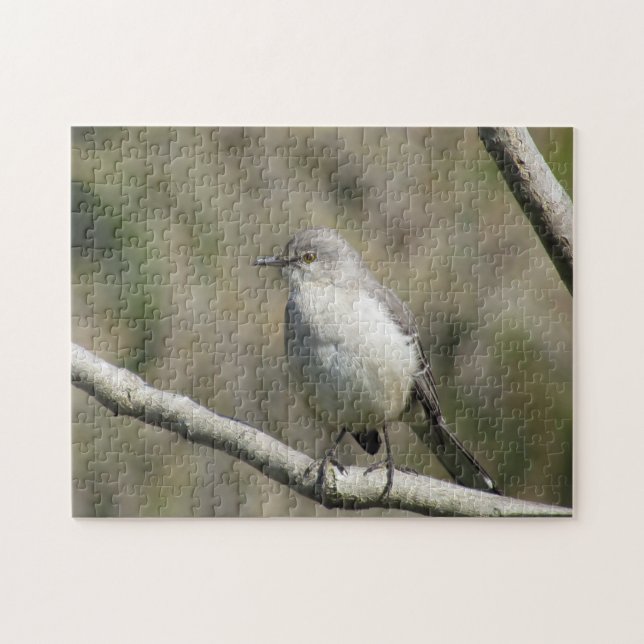 Puzzle - Colibri (Horizontal)