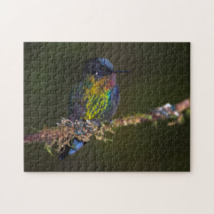 Puzzle Colibri
