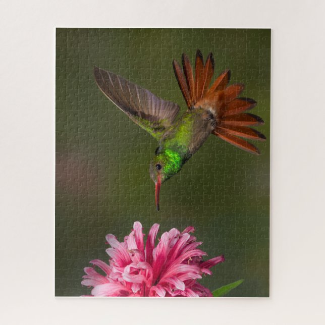 Puzzle Colibri 520 pièces (Vertical)