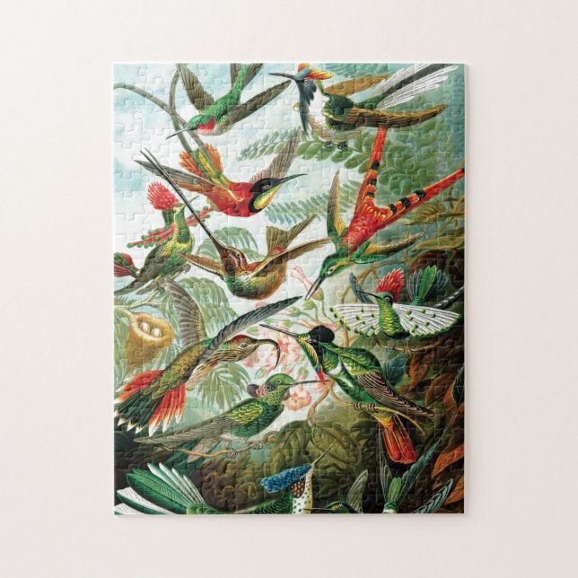 Puzzle Colibri par Ernst Haeckel (Vertical)