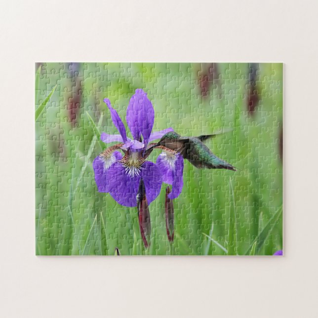 Puzzle colibri Rubis-throated (Horizontal)