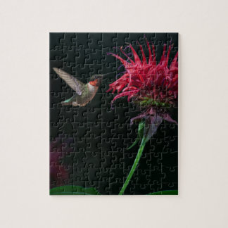 Puzzle colibri Rubis-throated sur le baume d'abeille