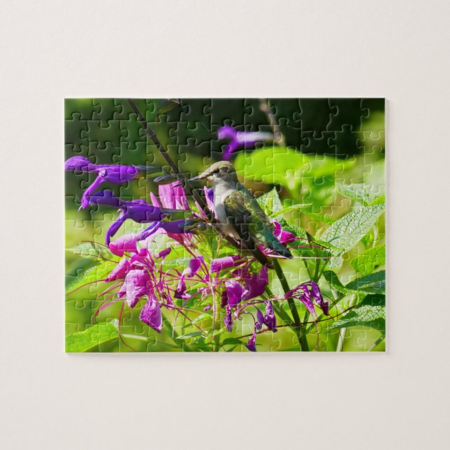 Puzzle Colibri sur la Monnaie des colibris (Horizontal)
