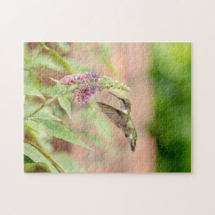 Puzzle Colibri sur un plante à fleurs