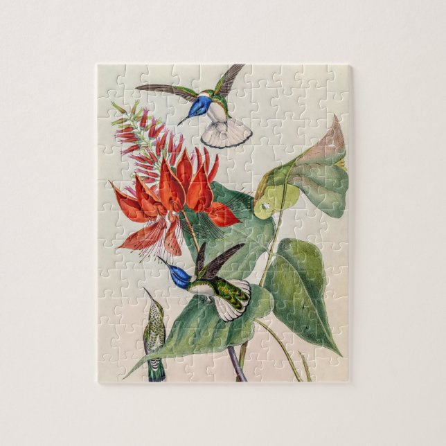 Puzzle Colibri vintage par John Gould (Vertical)
