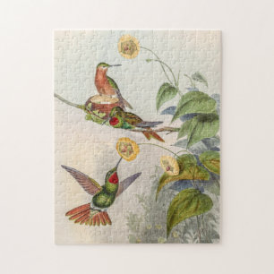 Puzzle Colibri vintage par John Gould
