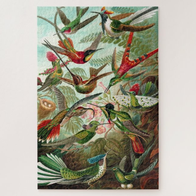 Puzzle Colibris - Ernst Haeckel (Vertical)