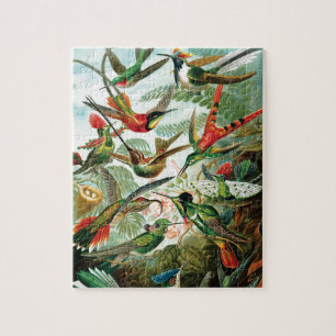 Puzzle Colibris par Ernst Haeckel