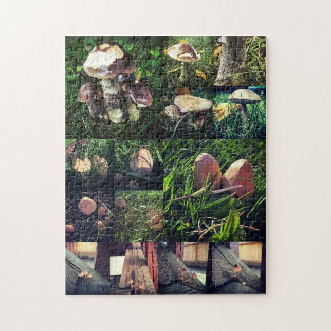 Puzzle Collage de champignon (Vertical)