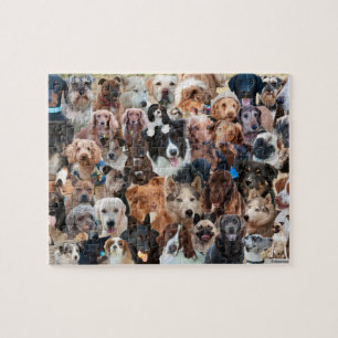 Puzzle Collage de chiens, de chiens et autres chiens