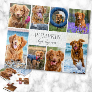 Puzzle Collage de photos de chien simple