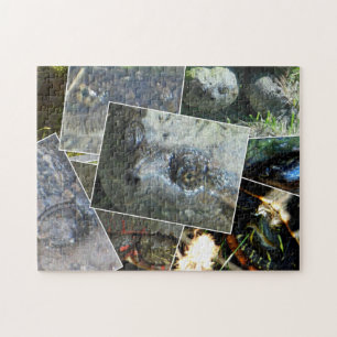 Puzzle Collage de tortue