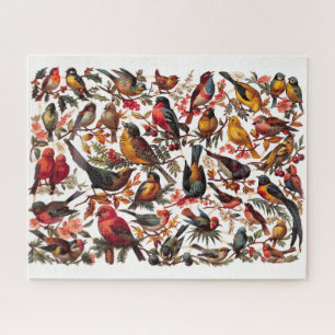 Puzzle Collage d'oiseaux vintage colorés gras