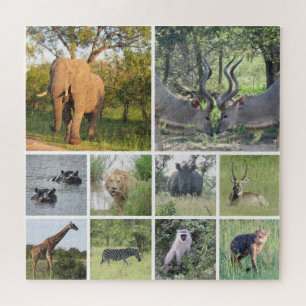 Puzzle collage safari
