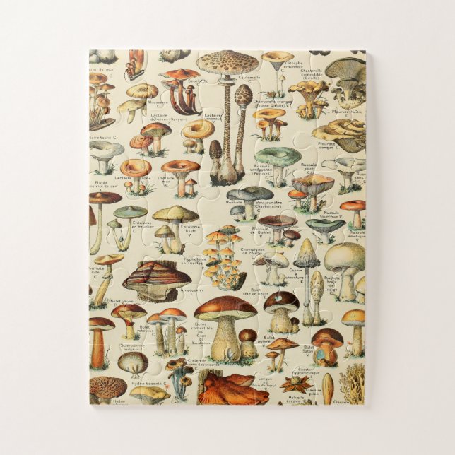 Puzzle Collection de champignons (Vertical)